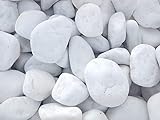 Vegara Stone Piedra Jardín Decoración Canto Rodado Blanco Puro 2-4 cm (10)